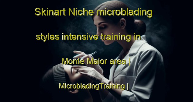 Skinart Niche microblading styles intensive training in Monte Maior area | MicrobladingTraining | MicrobladingClasses | SkinartTraining-Portugal